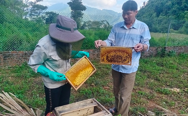 Khéo tay nuôi ong, nông dân Thượng Bằng La thu “mật ngọt”